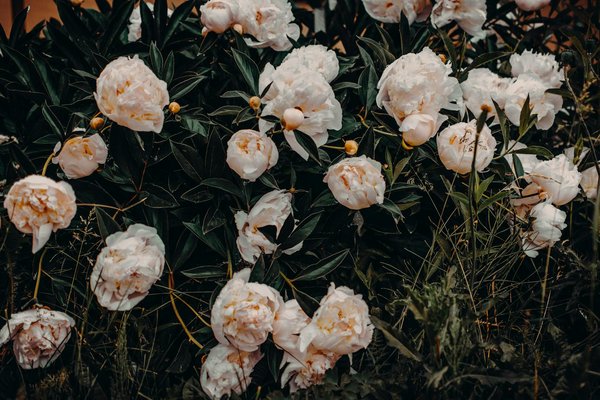 Assurance habitation à paris : quelles garanties pour vous ?